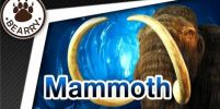 แมมมอธ (Mammoth) ยักษ์ใหญ่แห่งยุคน้ำแข็ง | สัตว์ดึกดำบรรพ์