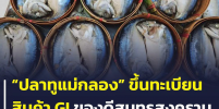 กรมทรัพย์สินทางปัญญา ขึ้นทะเบียน “ปลาทูแม่กลอง” ของดีสมุทรสงคราม