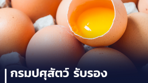 กรมปศุสัตว์ ยืนยัน ไม่มีไข่ปลอมในไทยแน่นอน ขอย้ำผู้บริโภคอย่าตื่นตระหนก