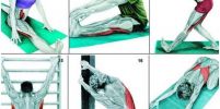 34 ภาพท่ายืดกล้ามเนื้อ ทำแล้วได้ส่วนไหน ดูไว้เราออกกำลังกายถูกจุดหรือเปล่า