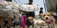 กลุ่มนักสิทธิสัตว์สหรัฐเปิดเผยว่า ทางการเมืองอวี้หลินของจีนยกเลิกเทศกาลรับประทานเนื้อสุนัข
