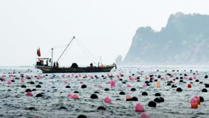 นักวิจัยจีนศึกษา 'ผลิตอาหารปลา' จากก๊าซไอเสียอุตสาหกรรม