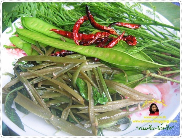 "กระถิน" รั้วกินได้!!!