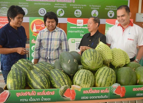 จ.นครพนม ส่งแตงโมไร้เมล็ดโกอินเตอร์ เกษตรกรยิ้มยอดขายพุ่ง 250 ล้านบาท