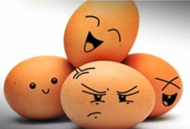 ปลดล็อคความเชื่อผิดๆ!! กินไข่ไก่ เด็กกินได้ผู้ใหญ่กินดี กินได้ทุกวัน บำรุงสมอง แข็งแรง