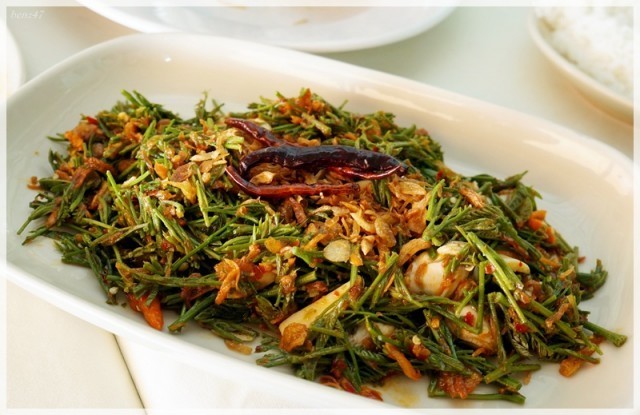 "กระถิน" รั้วกินได้!!!