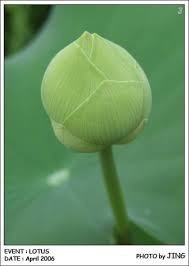 พระประวัติ สมเด็จพระสังฆราช พระองค์ที่ ๑๖ แห่งกรุงรัตนโกสินทร์