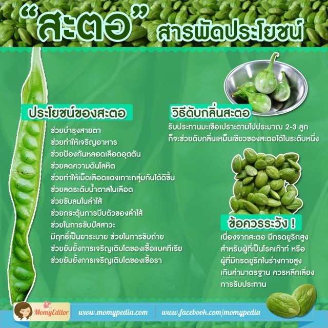 สะตอ สารพัดประโยชน์