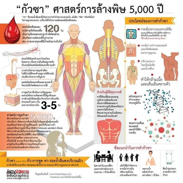 วิธีการขับสารพิษในร่างกาย ...