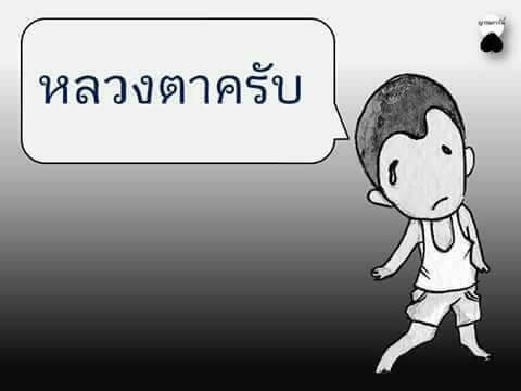 การ์ตูน "เด็กวัดกับหลวงตา" ชวนทำความดีถวายในหลวง รัชกาลที่ ๙