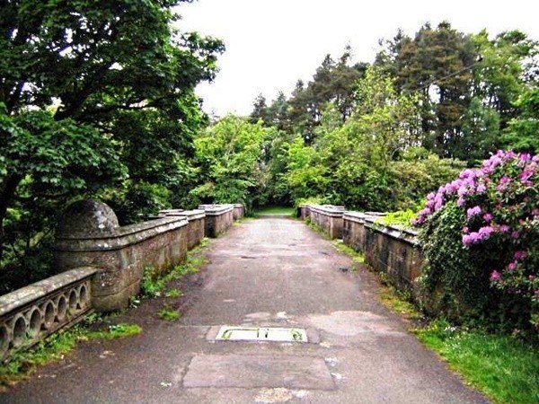 สะพานอาถรรพ์!! สถานที่ลี้ลับที่ดึงดูดให้สุนัขกระโดดฆ่าตัวตายกว่า 600 ตัว