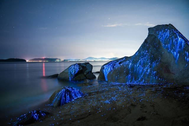 อัศจรรย์!!! "ทะเลเรืองแสง ก้อนหินร้องไห้" ความสวยงามอันน่าทึ่งในประเทศญี่ปุ่น