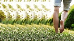ทดลองเดินเท้าเปล่าบนพื้นดินหรือพื้นหญ้า..ปล่อยไฟฟ้าสถิตในตัวเราลงดินเพื่อสุขภาพที่ดี..กับตัวเราเอง