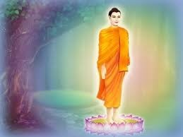กว่าจะมาเป็นพระพุทธเจ้า