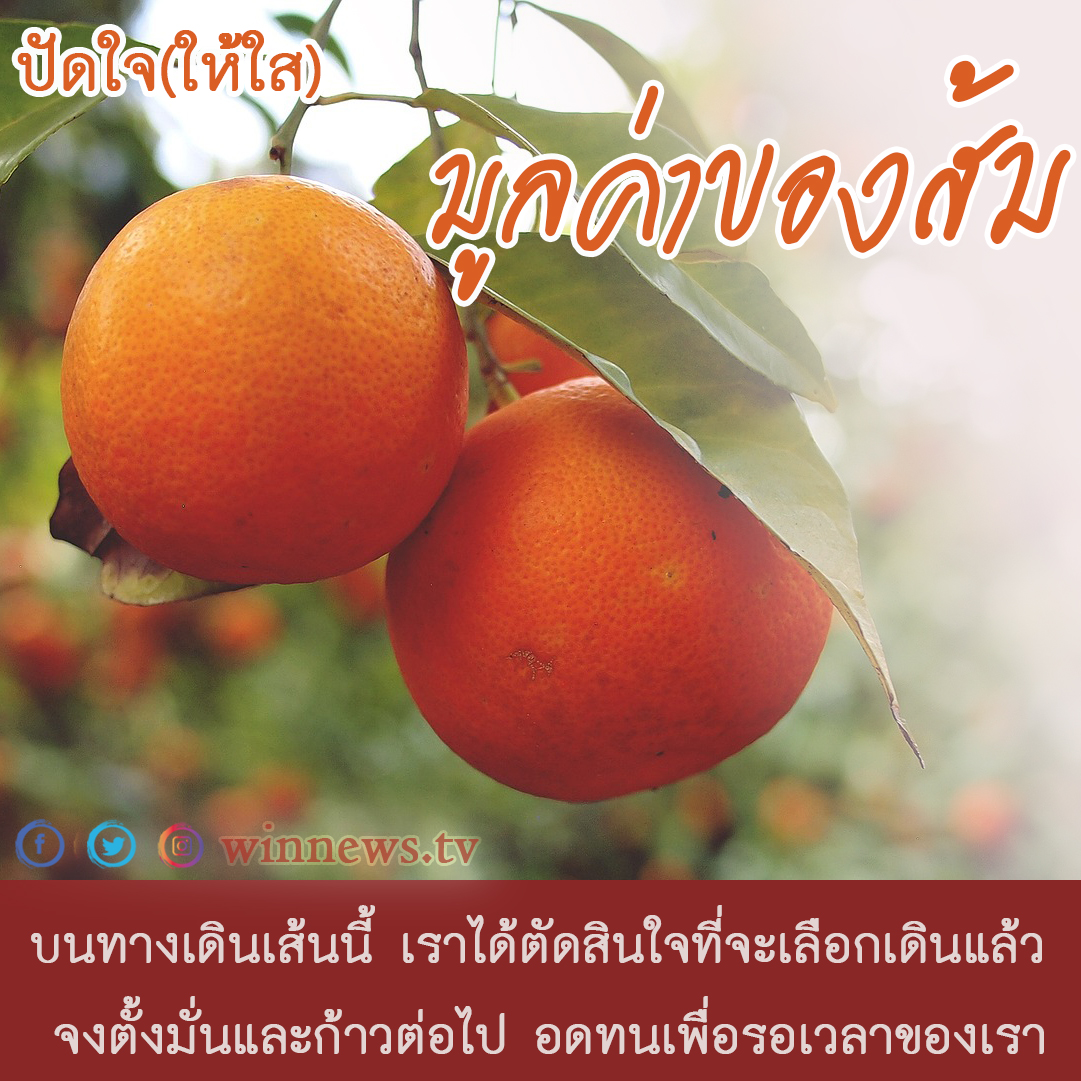 ปัดใจ(ให้ใส) ตอน มูลค่าของส้ม