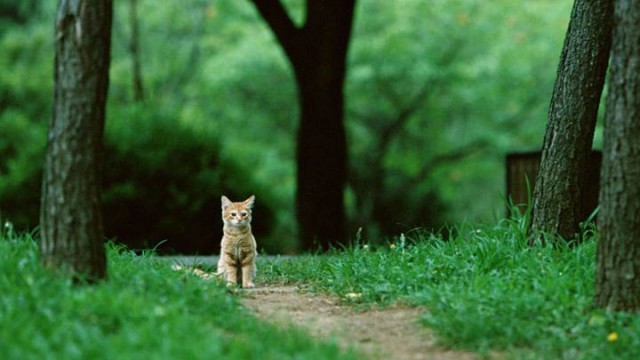 เหตุผลทางวิทยาศาสตร์ อธิบายว่าทำไมคุณถึงรู้สึก “เหงา” และจะส่งผลอย่างไรบ้าง!?