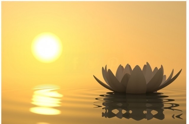 เวลาโกรธขึ้นมา ด็อกเตอร์กับป.4 ก็โง่พอ ๆ กัน : อคติ ๔ อันตรายและหายนะที่ใหญ่หลวงกับทุกคน