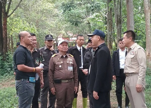 ผอ.กองราชพิธี สำนักพระราชวัง เข้าสำรวจและคัดเลือกไม้จันทน์หอม ที่จะใช้ในพิธีพระบรมศพ