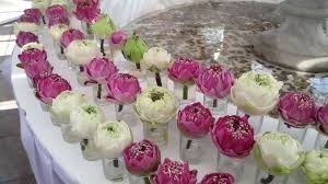 จัดงานวันวิสาขบูชาโลกที่สนามหลวง