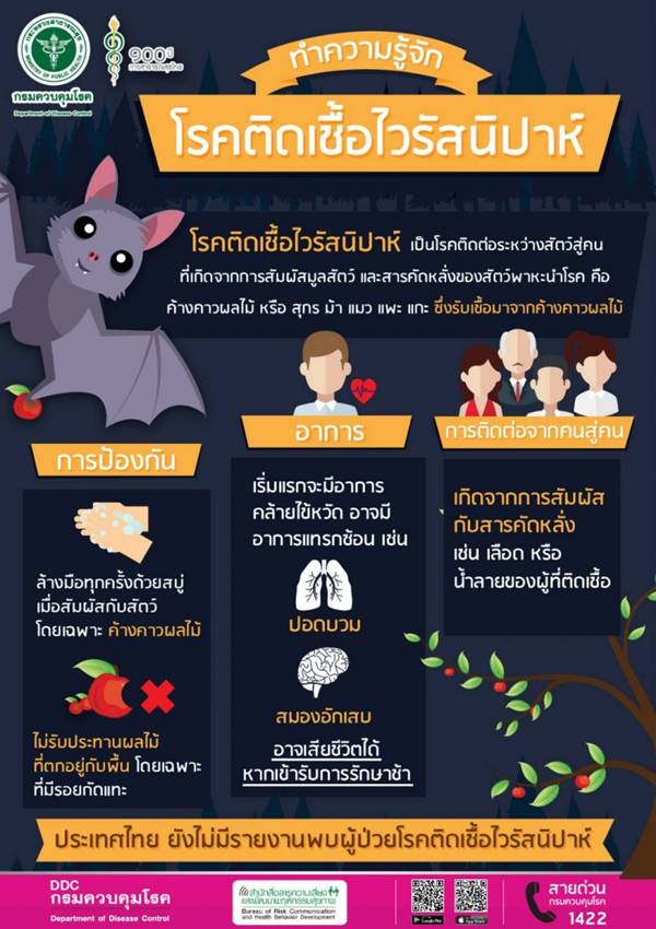 กระทรวงสาธารณสุขได้ออกประกาศ "ไวรัสนิปาห์" เป็นโรคติดต่ออันตราย