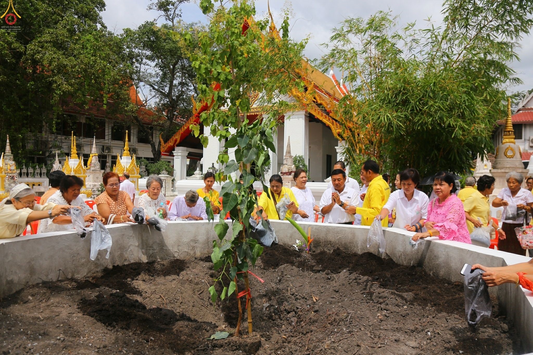 พิธีปลูกต้นพระศรีมหาโพธิ์  ณ วัดเขียนเขต (พระอารามหลวง)