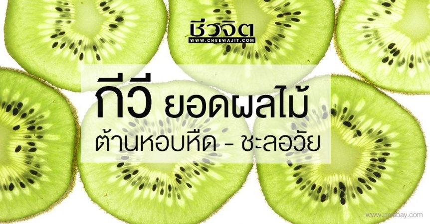 กีวี สุดยอดผลไม้ต้านหอบหืด – ชะลอวัย