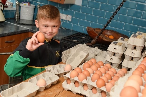 เจัาของบริษัท วัย 8 ขวบ ‘ขายไข่ไก่’ มีรายได้ปีละ 570,000 บาท!!