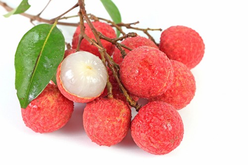 อาหารบำรุงตับ กินให้ถูกหลัก แล้วตับจะแข็งแรง