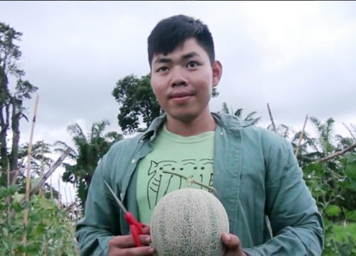 นักศึกษาราชมงคลสุรินทร์ ปลูกเมล่อนประสบผลสำเร็จ