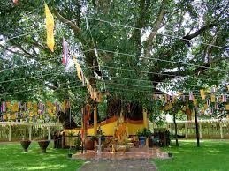 ความพิเศษ!! ของการบังเกิดขึ้นของพระพุทธเจ้าบนโลกนี้ "ปัญจมหาวิโลกนะ" และ “๗ สหชาติ”