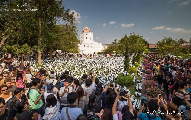 กองทัพแพนด้าบุกไทย