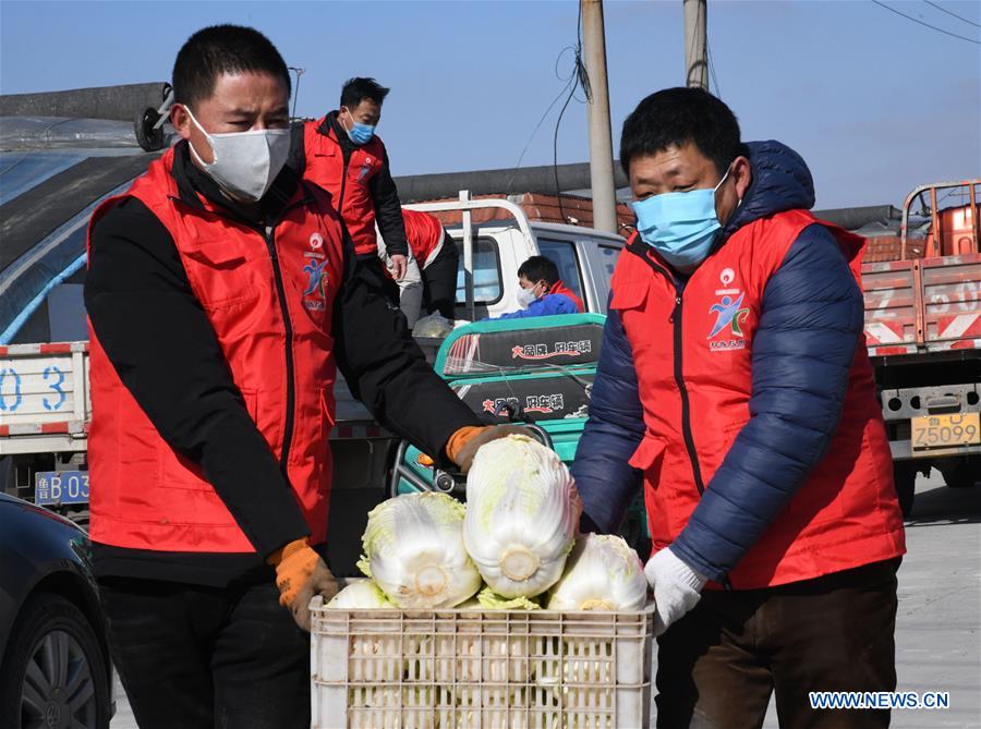 น้ำใจหลั่งไหล! ชิงเต่าส่งตรง 'ผักสด' ช่วยอู่ฮั่นสู้วิกฤตไวรัส