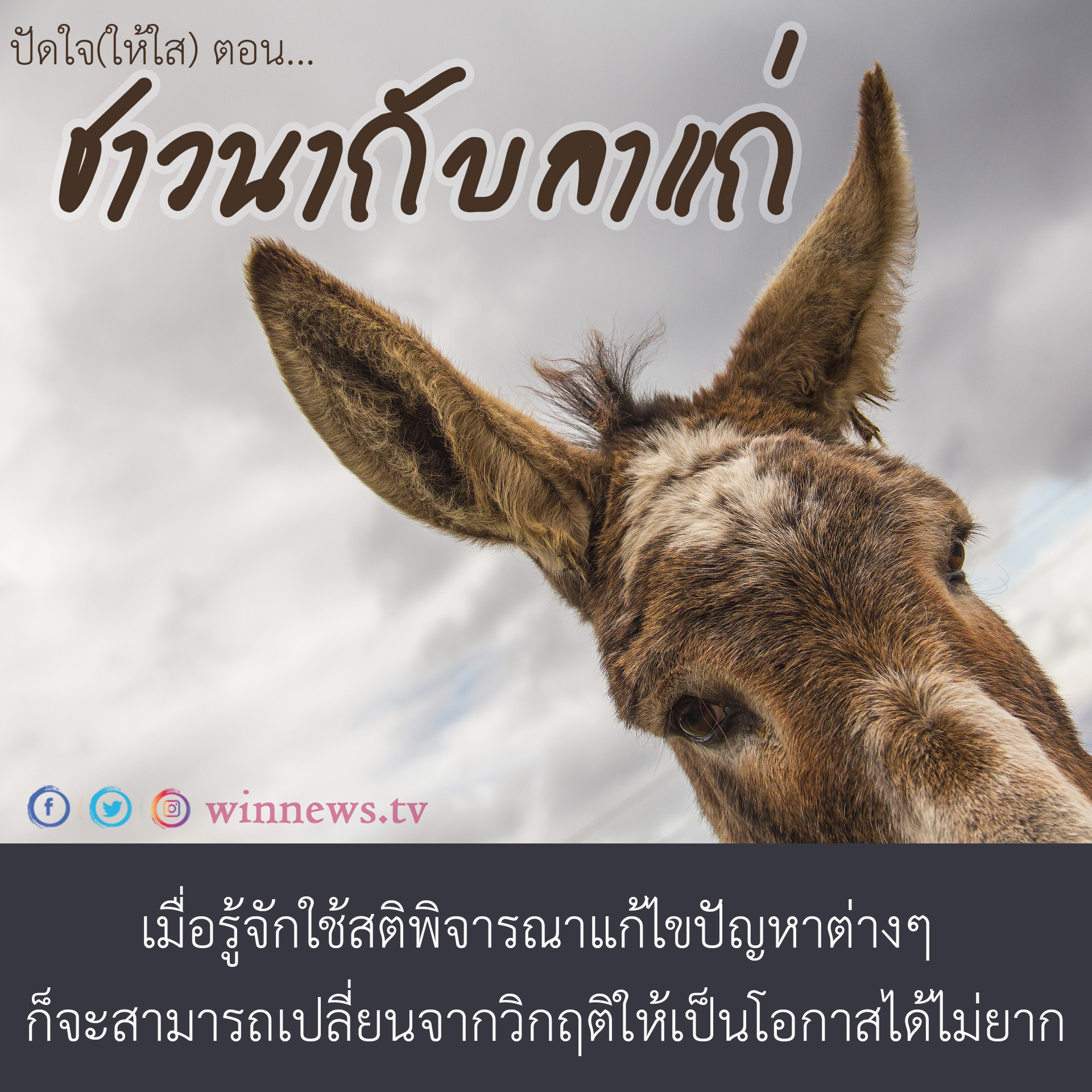 ปัดใจ(ให้ใส) ตอน ชาวนากับลาแก่