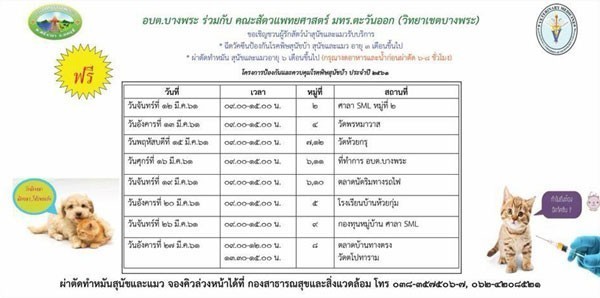 รวมรายชื่อสถานพยาบาลรับฉีดวัคซีนป้องกันโรคพิษสุนัขบ้าให้สัตว์เลี้ยงฟรี