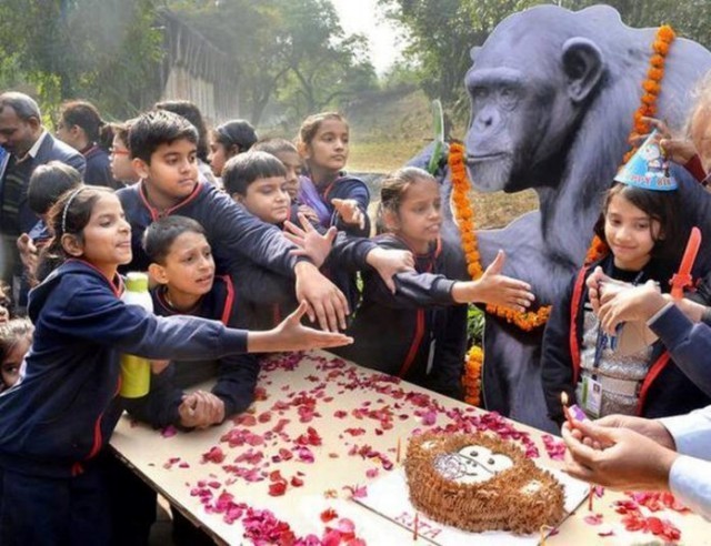 ฉลอง 58 ปี ชิมแปนซี อายุยืนที่สุดในอินเดีย !!!