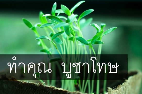 ทำคุณ บูชาโทษ