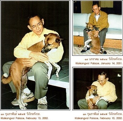รวมภาพหาชมยาก ‘ในหลวงรัชกาลที่9’ ทรงฉายภาพกับสุนัขทรงเลี้ยง