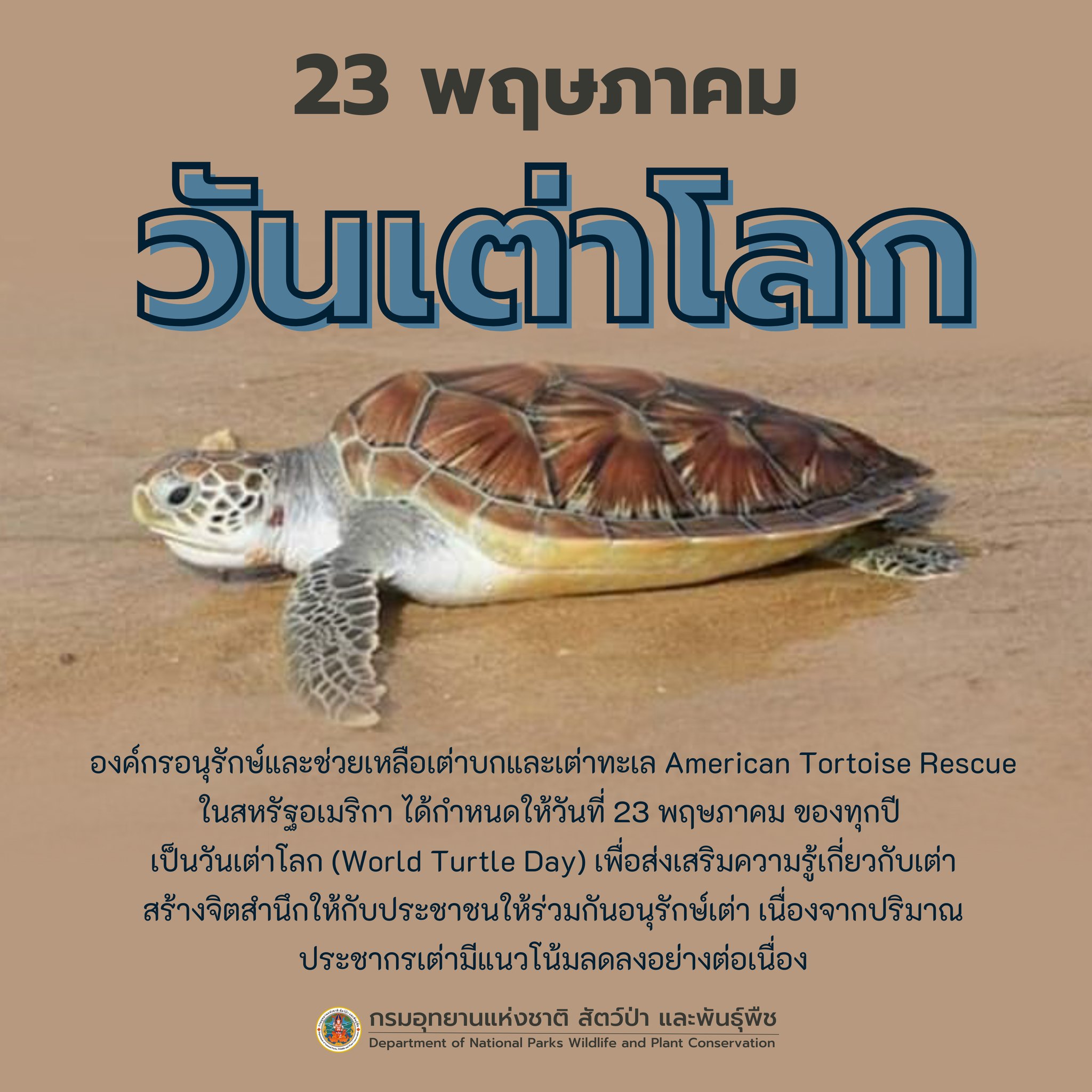 “ 23 พฤษภาคม ของทุกปี เป็นวันเต่าโลก ” (World Turtle Day)