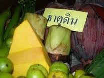 ปรับสมดุลและสร้างสุขภาพดี ด้วยการกินอาหารตามธาตุเจ้าเรือน (ธาตุดิน น้ำ ลม ไฟ)
