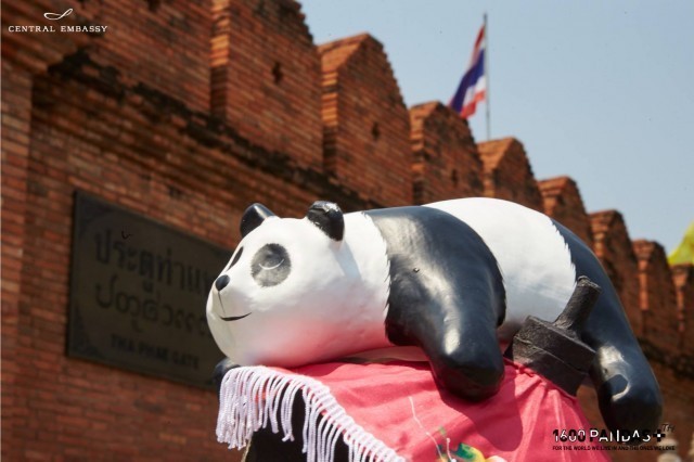 กองทัพแพนด้าบุกไทย