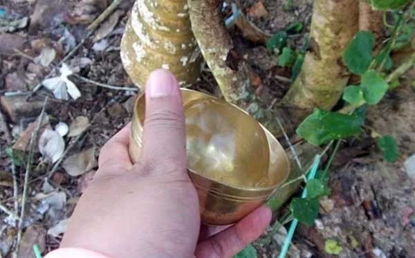 ทำบุญไม่กรวดน้ำ จะได้บุญไหม? ทำไม ต้องเอาน้ำไปรดต้นไม้