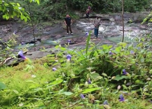 'ลานหินร้องไห้' ธรรมชาติดิบที่สวยงาม แหล่งเที่ยวใหม่ของโคราช