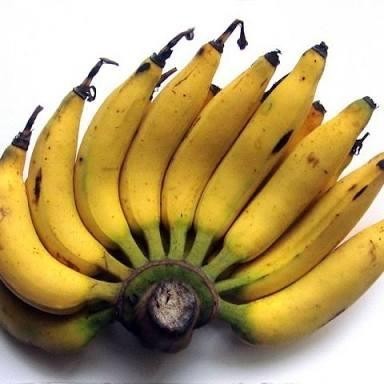 ประโยชน์ของ "กล้วย" แต่ละชนิด ที่แตกต่างกัน ที่เราอาจไม่เคยรู้มาก่อน !!