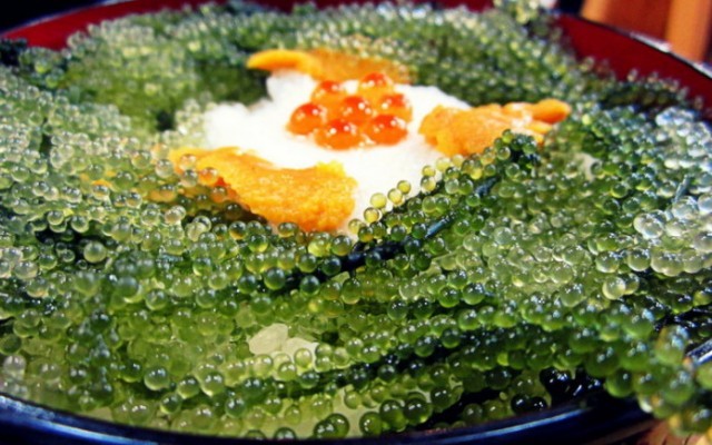 คนรักสุขภาพต้องรู้จัก!! สาหร่ายพวงองุ่นหรือคาเวียร์สีเขียว ( Green Caviar )