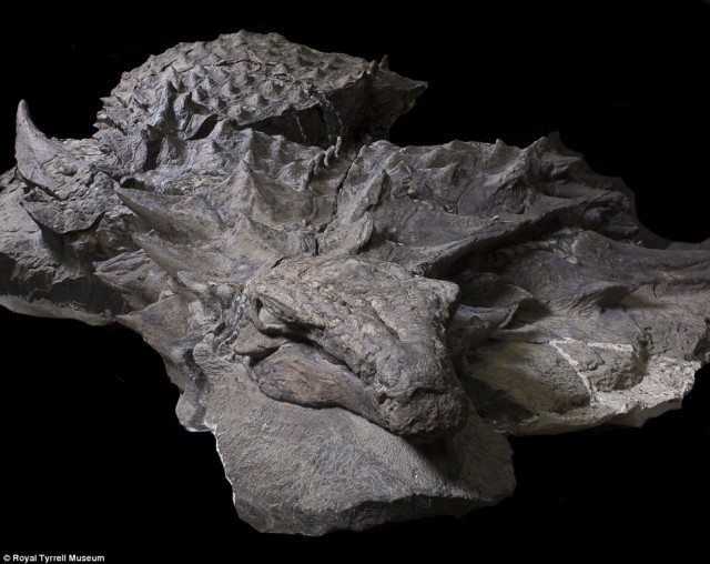 ค้นพบฟอสซิลไดโนเสาร์อายุ 110 ล้านปี อยู่ในสภาพสมบูรณ์ที่สุด เท่าที่โลกเคยจารึกมา…