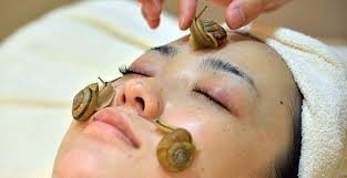 ชอบใช้ครีมหอยทาก Snail Cream ผลวิจัยน้ำเมือกหอยทากกับคุณสมบัติทางยาและเครื่องสำอางค์