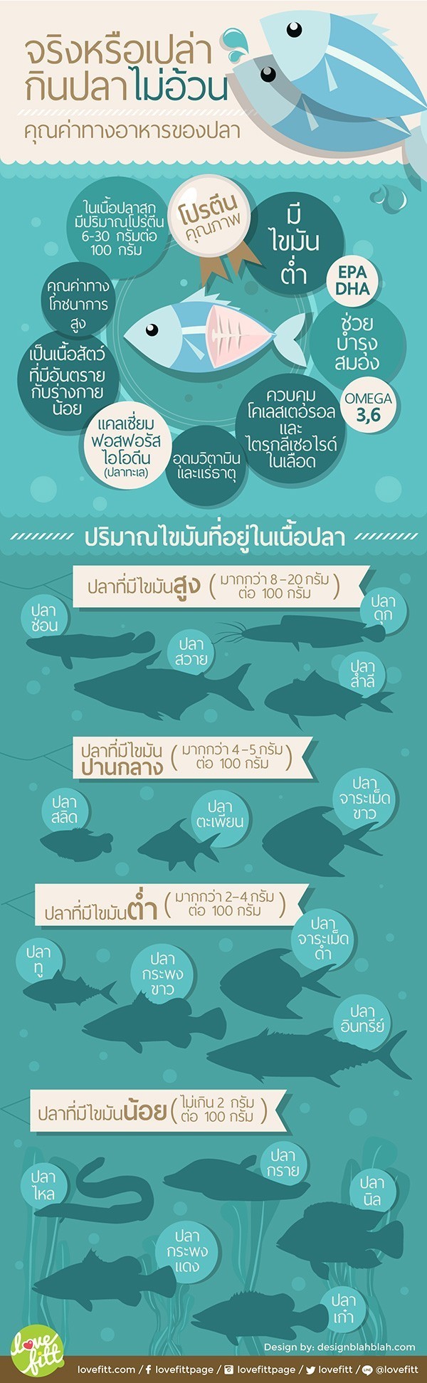 เคลียร์ชัดๆ!ทำไม?"กินปลา"ถึงไม่อ้วน แล้วกินไขมันปลาจะอ้วนไหม?