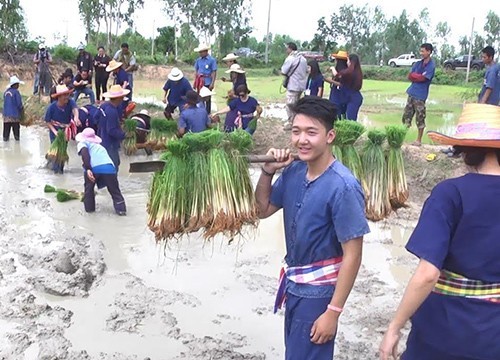 "ดำนากับช้าง" หมู่บ้านช้างสุรินทร์แหล่งท่องเที่ยวโฮมสเตย์เชิงอนุรักษ์แห่งเดียวในโลก