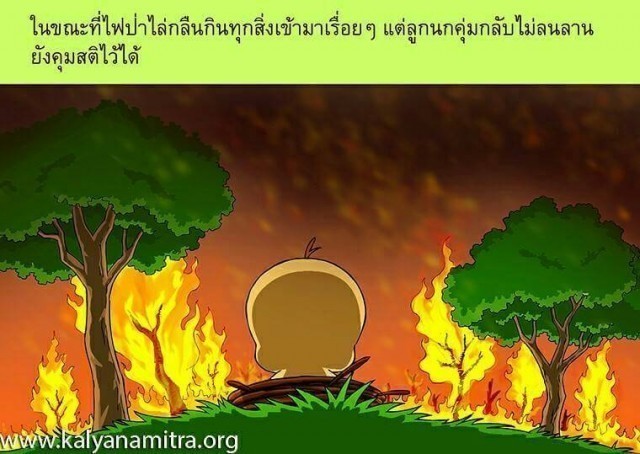 วัฎฎกาชาดก อานุภาพแห่งการตั้งสัตยาธิษฐาน