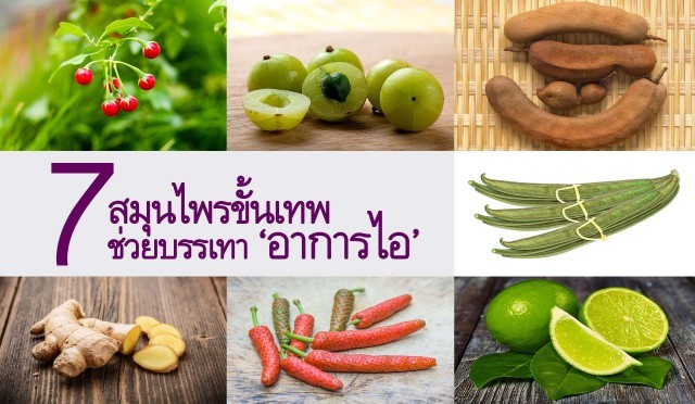 7 สมุนไพรขั้นเทพช่วยบรรเทา ‘อาการไอ’